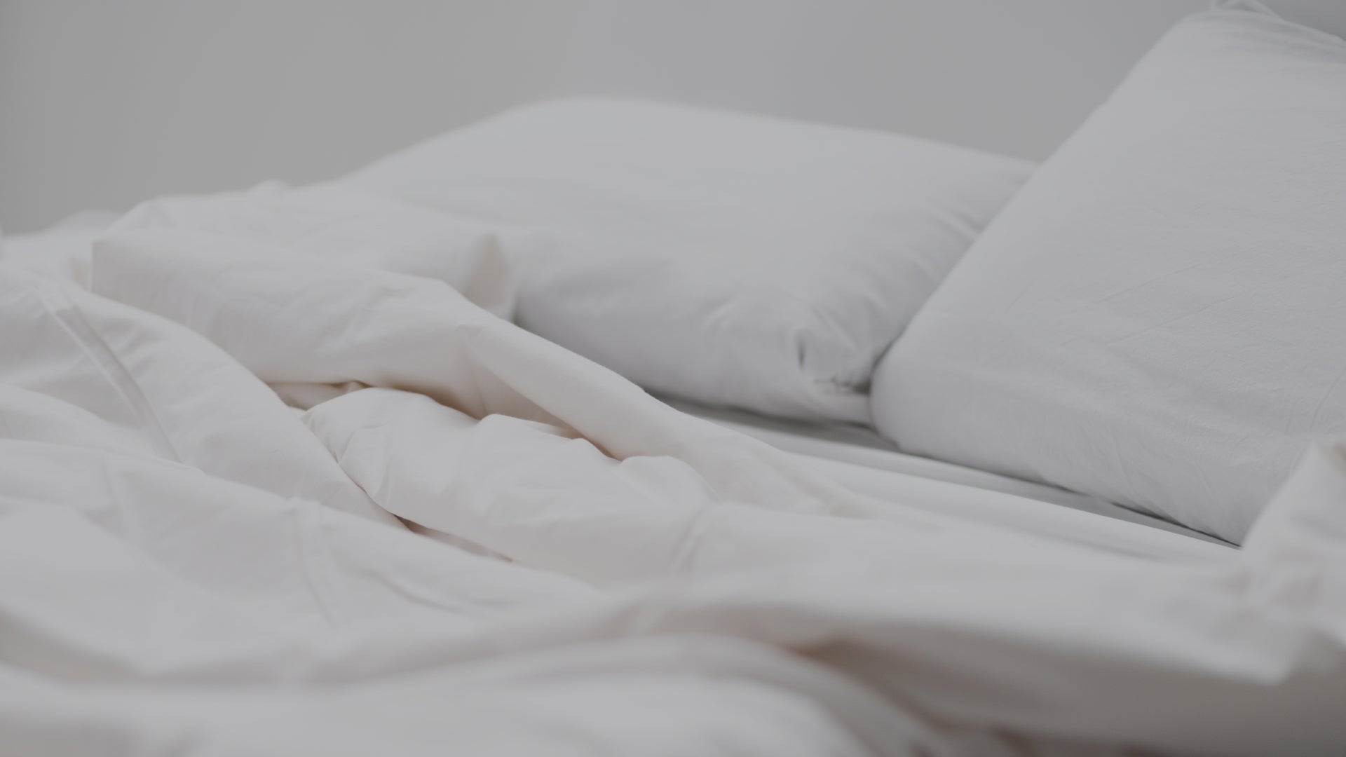 Elevated comfort , distinction & hospitality.